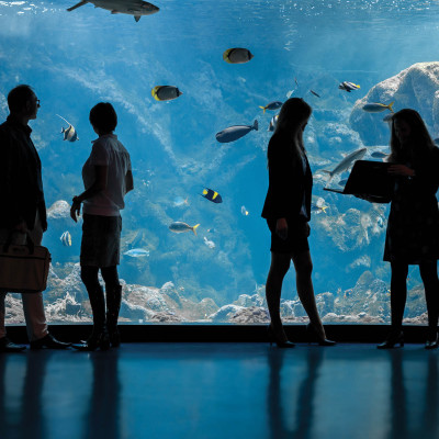 Oceanopolis Brest