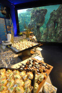 cocktail devant les aquariums du pavillon tropical d'Océanopolis, Brest