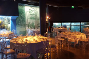 Dîner dans le pavillon Bretagne d'Océanopolis